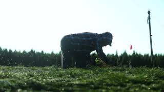 Alpha Nursery Tour 2020