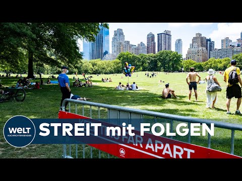 ALLTAGSRASSISMUS: New Yorkerin wegen Falschbeschuldigung eines Schwarzen angeklagt