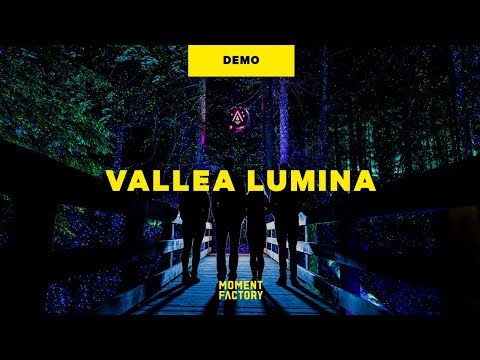 Vallea Lumina | an enchanted night walk in pursuit of hidden wonders