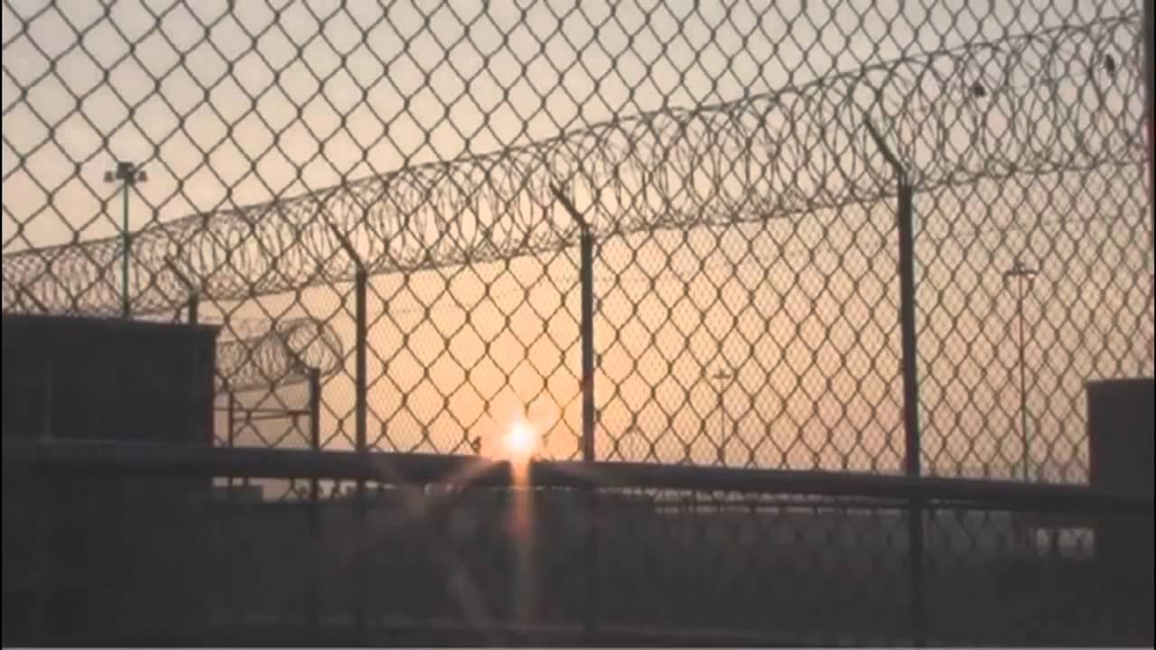 Touching Spirit Bear Movie Trailer