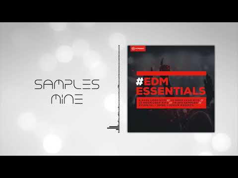 Hypeddit Samples - EDM Essentials [FREE SAMPLE PACK]