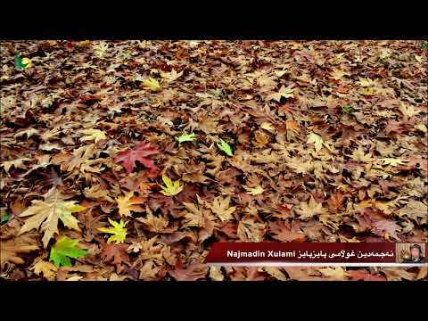 Najmadin Xulami paiz نه‌جمه‌دین غوڵامی   پایزپایز