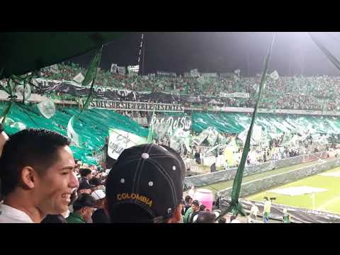 "8K | Nacional 5-2 DIM | GOLEADA en el Clásico Paisa " Barra: Los del Sur &bull; Club: Atlético Nacional