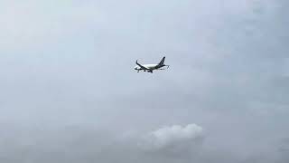Vistara flight