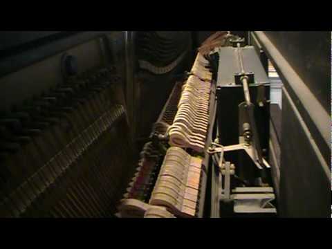 Ain't She Sweet? player piano roll, QRS 3872