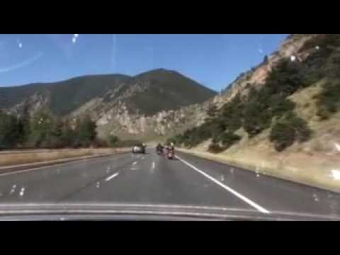 Florida Wild Hogs Adventures P VII mp4