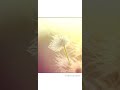 Anantha Yazhi Song Whatsapp Status ️