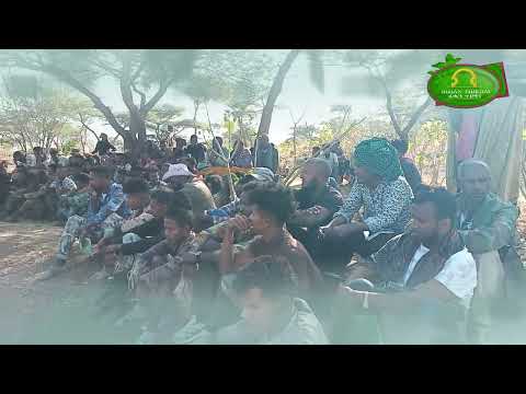 ተዛረቡ tezarebu ሰራዊት ትግራይ