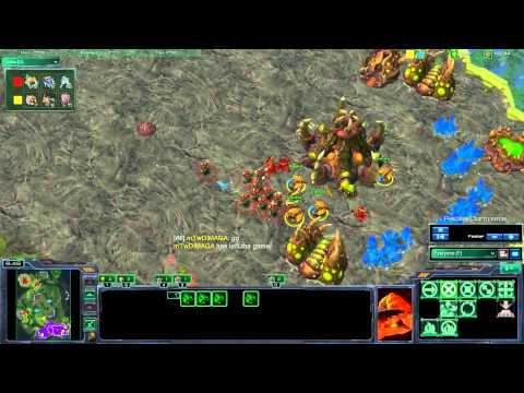 DeMusliM vs. Dimaga 3-3