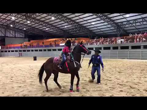 LAVÍNIA PAVAN - 3 TAMBORES (HARAS MONTE ALEGRE)