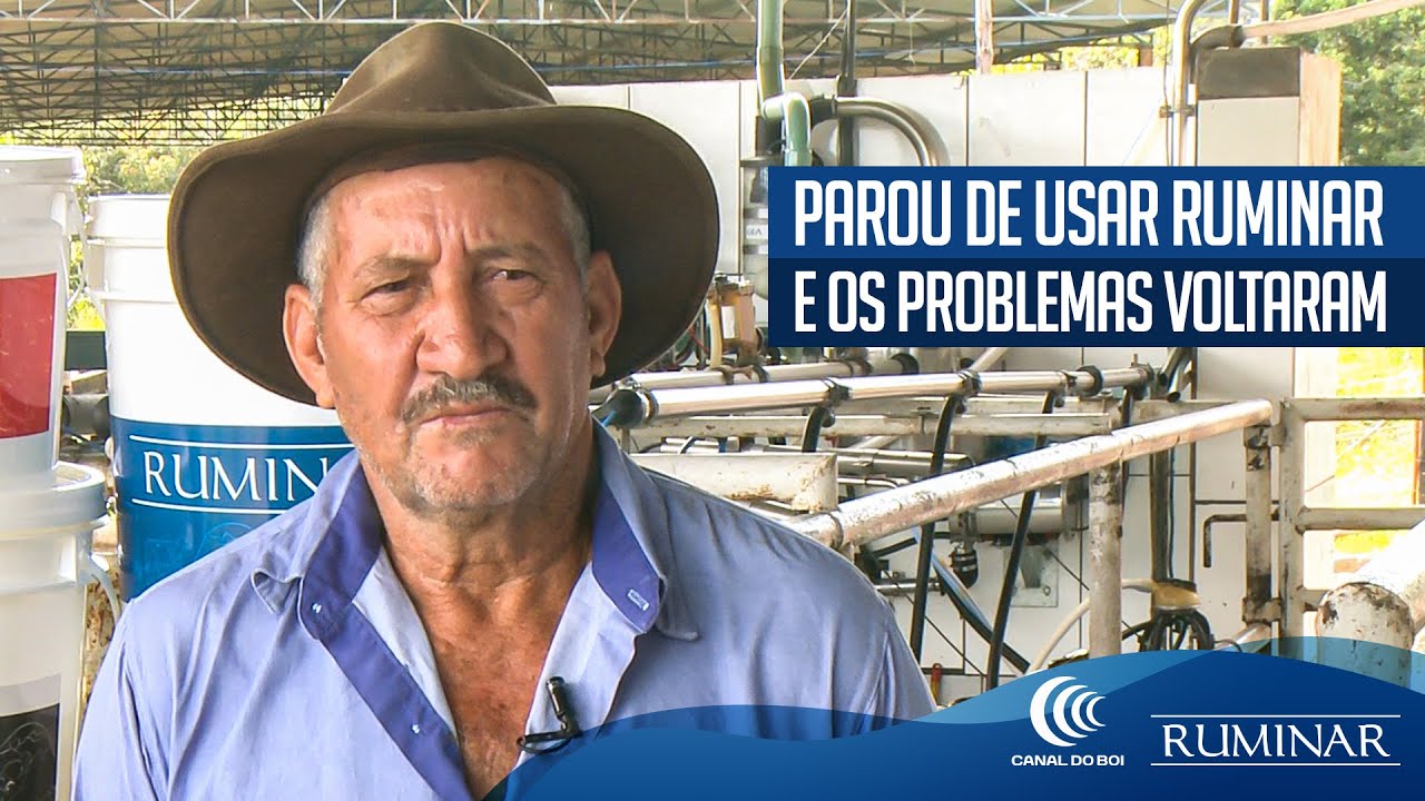 Juvercino Luís da Silva - Fazenda Lambari Córrego do Bagaço - Monte Carmelo/MG