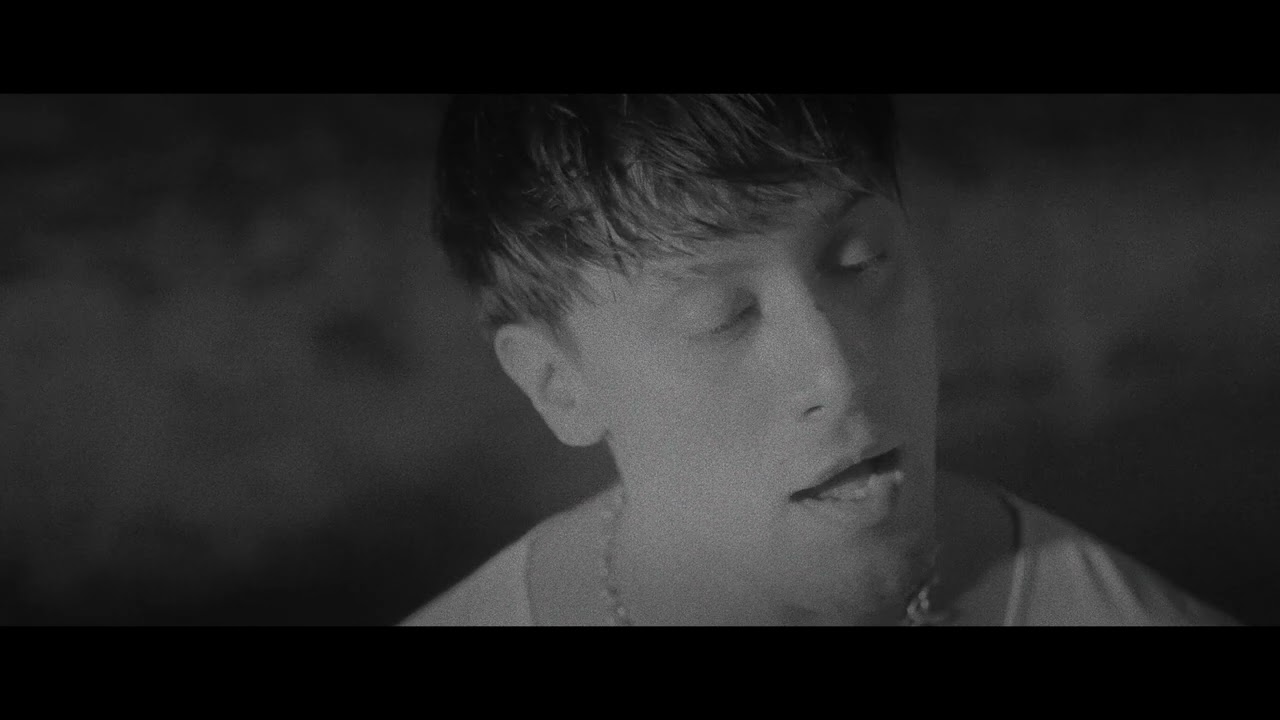 Palisades — Better