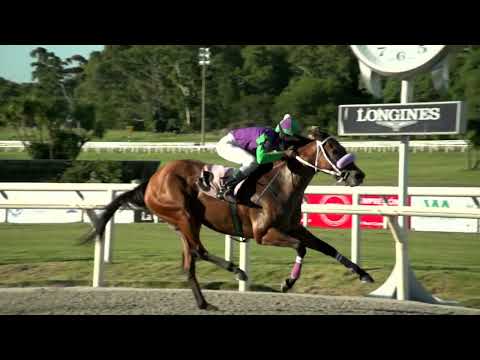 220312 c07 LINDA DAMA