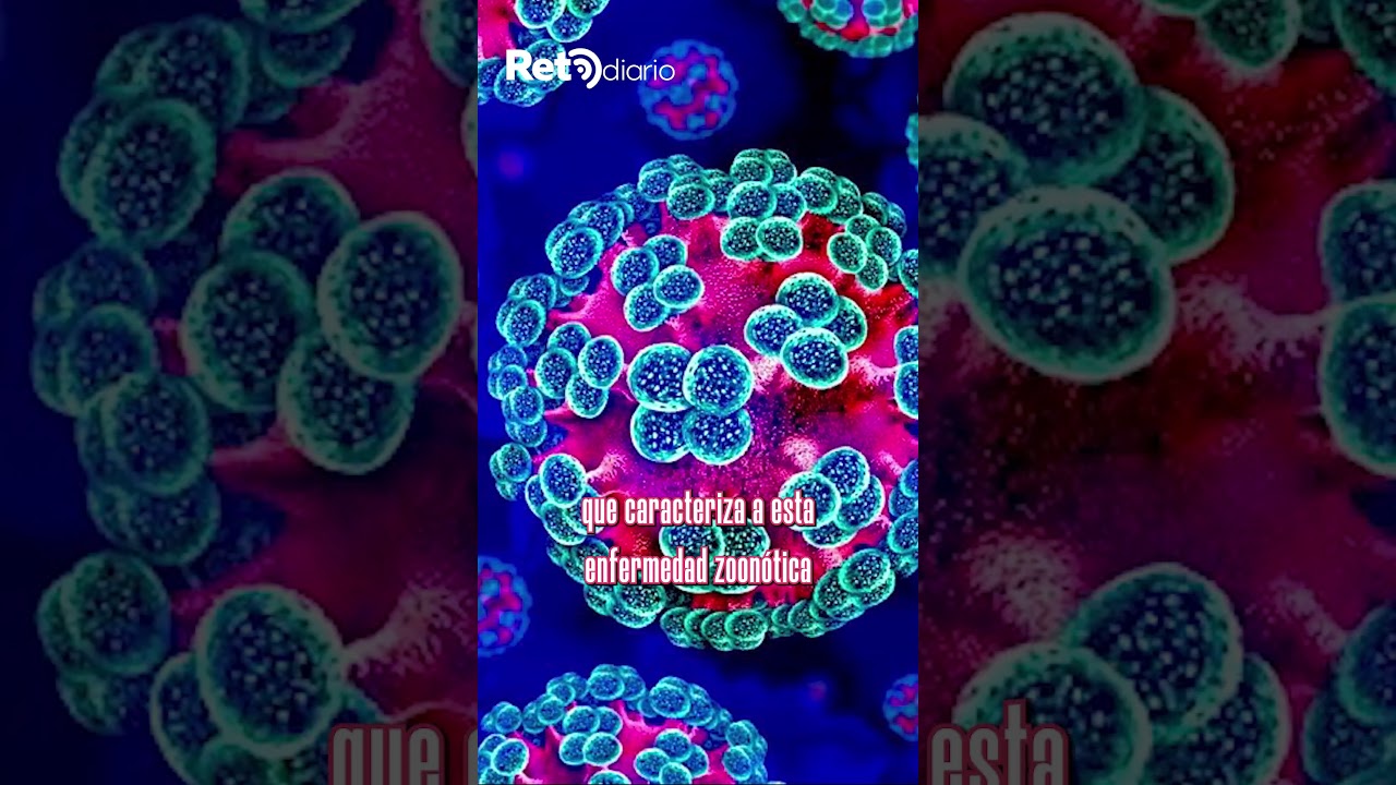 México activa vigilancia por hantavirus