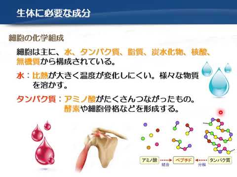 教育福祉学科 01 解剖生理と疾病① 総論