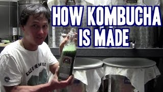 How Kombucha is Made & What Brewers Don’t Want You to Know