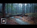Cold Relaxing Walk in the Rain, Binaural Rain and Nature Sounds for Study and Sleep ASMR