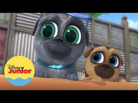 Festa na Piscina dos Filhotes | Brincando com Puppy Dog Pals