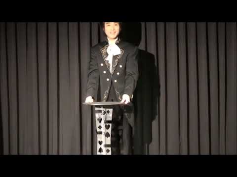 FOLDING TABLE ALUMINIUM - DAYTONA MAGIC