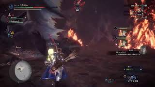 MHWI  野良ムフェトか救難アルバをやるー。