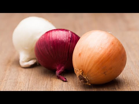 Onion Debate — Does It Matter What Kind You Use? | Q...