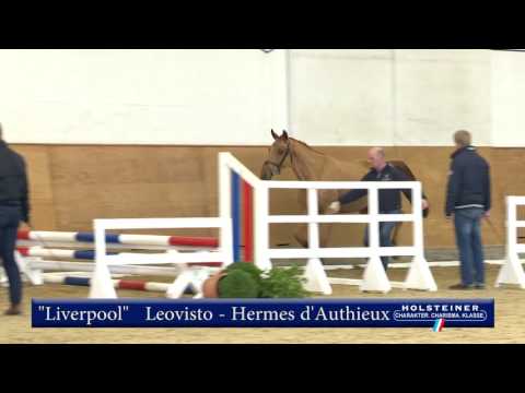 7. Liverpool v. Leovisto - Hermes d'Authieux