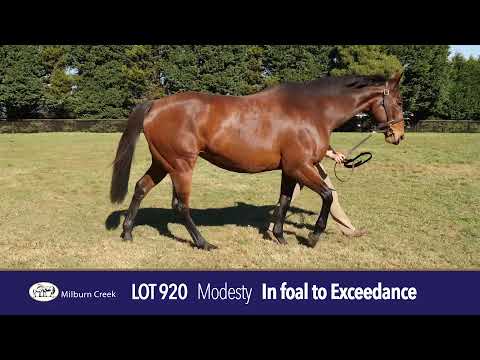 2021 Gold Coast National Broodmare Sale Lot 920