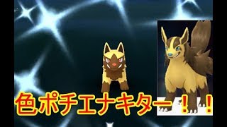 ポチエナ ポケットモンスター ドダイトス ソルガレオ パルスワン ポチエナ ポケットモンスター ドダイトス ソルガレオ パルスワン