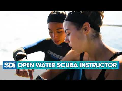 Open Water Scuba Instructor Dive Professional Kurs – Scuba Diving International – SDI