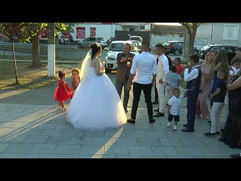 ghiocel novacovici camera / nunta carpinis de la liviu milivoi 01/08/2024 (17)