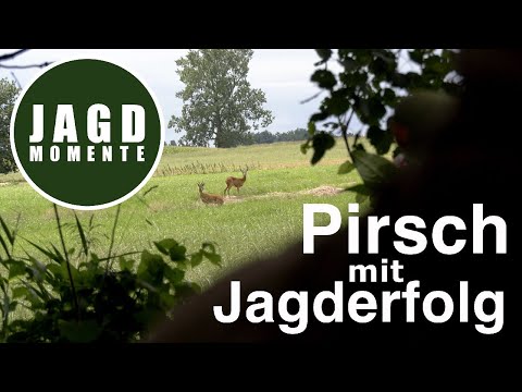 Stalking with hunting success | Hunting moments with Felix | Web series #1