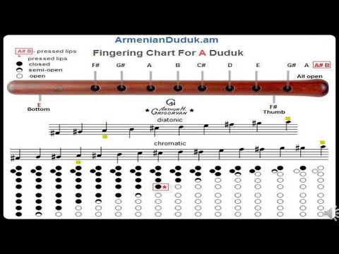 ALEKSANDAR DZUNIC  -  ARMENIAN DUDUK  -  2nd ATTEMPT