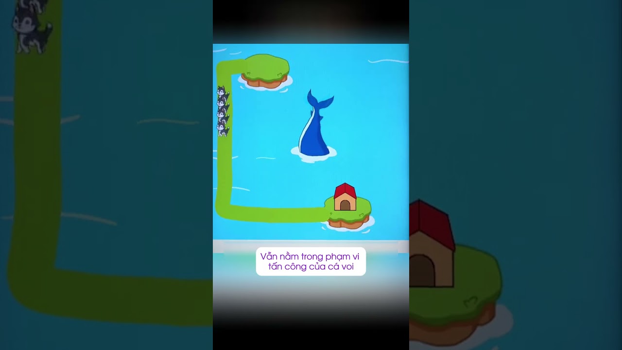 Giúp chó thoát khỏi cá voi về nhà