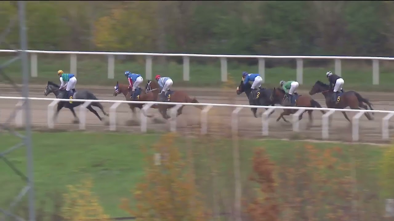Jockeyklubbens Avelslöpning 2022