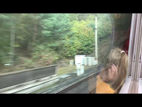 ICE Mitfahrt Fulda - Kassel Wilhelmshöhe SFS Vmax 280 km/h