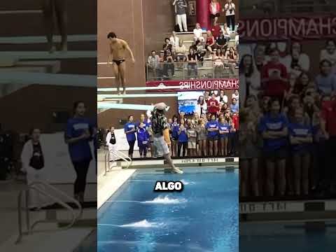 ¡Este Atleta No Esperaba Esto! 🏃‍♂️😳💥