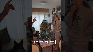 Decorando el Árbol de navidad como personas a las que nos gusta Magic the gathering.