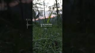 Download lagu Kh Aziz Ghifari Muslim(ajengan caringin) mp3