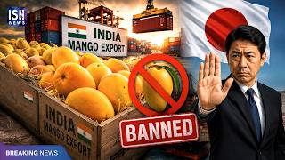 Why is Japan Banning Indian Mangoes After 20 Years?