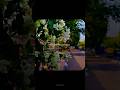 This Lines Shorts Viralshort Shortsfeed Viralsong Song Sadsong Ytviral