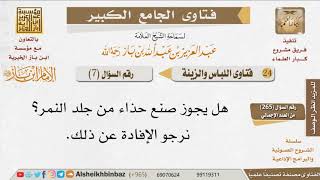 صورة 07   هل يجوز صنع حذاء من جلد النمر؟ للإمام ابن باز