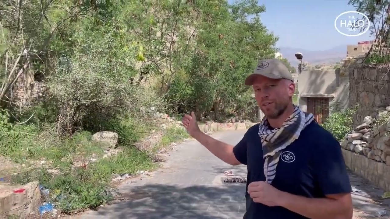 The HALO Trust, Yemen