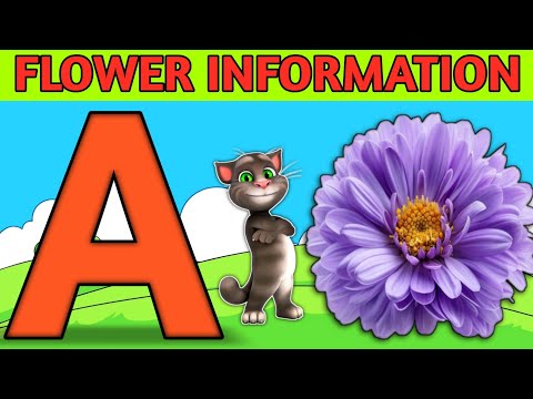 A For Aster Flower B For Bluebell Flower | ABCD Flower Information For Kids | ABCD |