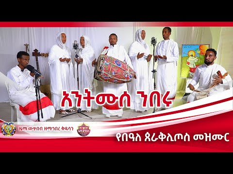 አንትሙሰ ንበሩ