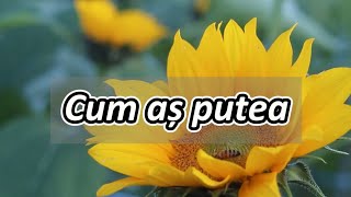 Cum aș putea?