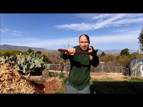 Striking With a Cudgel vs Striking With a Warhammer, Hatchet, or Tomahawk