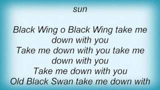 15488 Nina Simone - Black Swan Lyrics