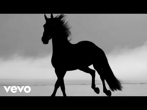 NDLR, Sombra Alor - Caballito (Official)