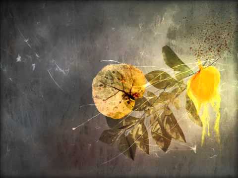 Eternal Counsel - Male Choir of St. Petersburg