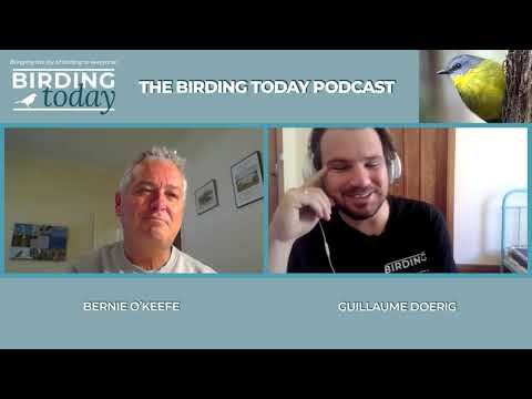 THE BIRDING TODAY PODCAST S1 EP. 9 | Quest For The Princess Parrot | BERNIE O'KEEFE